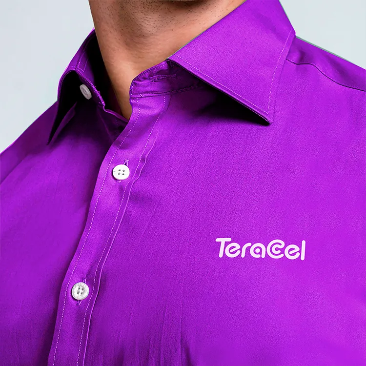 AMX_Marketing_Y_Publicidad_Digital_En_Nuevo_Laredo_Identidad_De_Marca_Teracel_3